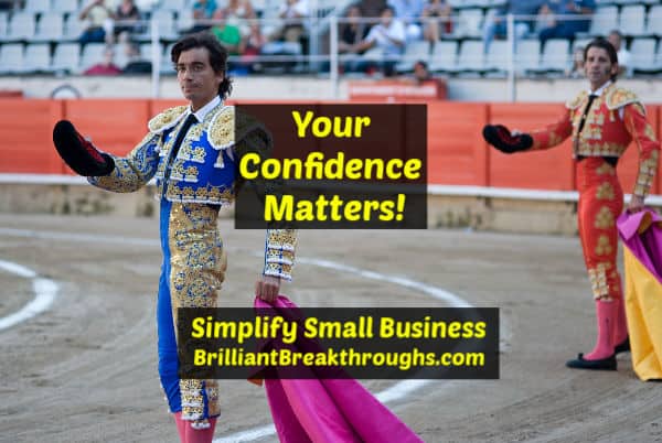 Small Business Coaching by Brilliant Breakthroughs, Inc.  Your confidence illustrated by a bullfighter in the ring.