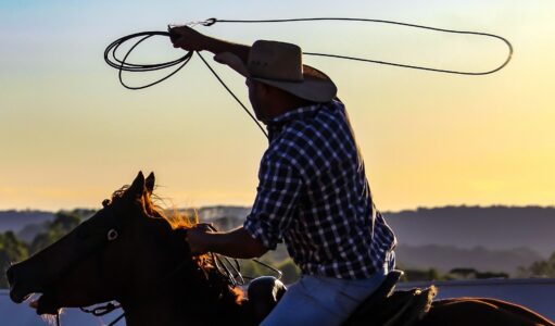 Cowboy lassoing while riding a horse.