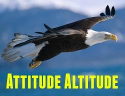 Soar High with Appropriate Attitude
