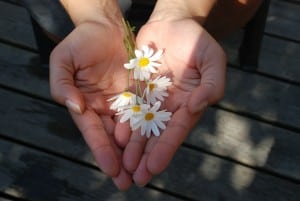 Expressing Gratitude for YOUR Customers illustrated by 2 hands shaped in a heart holding daisies.
