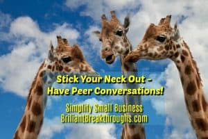 Small Business Coaching by Brilliant Breakthroughs, Inc. Peer conversations illustrated by 3 giraffes talking with their heads in the clouds.