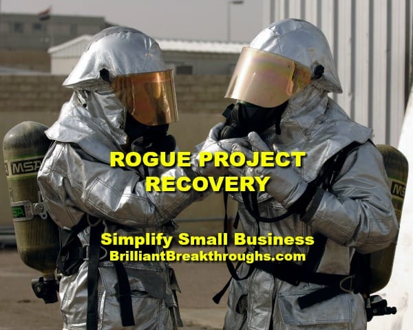 Small Business Coaching by Brilliant Breakthroughs, Inc. Rogue Project illustrated by  two firefighters assuring their equipment is working properly.