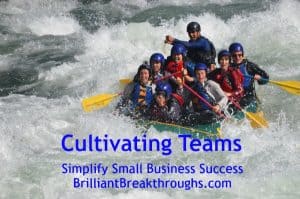 Small Business Coaching by Brilliant Breakthroughs, Inc. Topic: Cultivating Teams illustrated by a team of white water rafters.