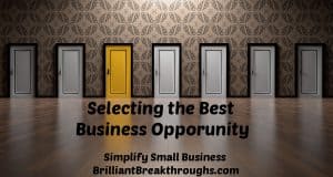 Small Business Coaching by Brilliant Breakthroughs, Inc. Topic: Business Opportunity illustrated but several doors with one painted in gold-tone.