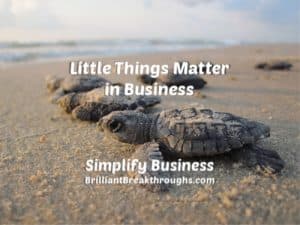 Small Business Coaching by Brilliant Breakthroughs, Inc. Topic: Little stuff illustrated by beached baby sea turtles