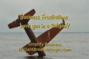 Small Business Coaching by Brilliant Breakthroughs, Inc. Topic: Business Frustrations illustrated by a plan crashed into the ocean.