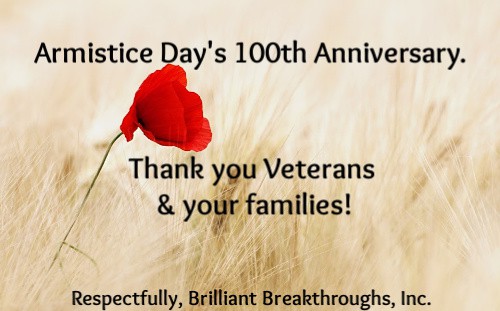 Small Business Coaching by Brilliant Breakthroughs, Inc. Topic: Veterans Day illustrated by a single red poppy in a field.
