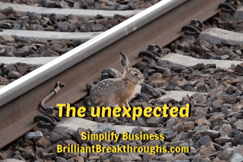 unexpected brown baby rabbit along railroad tracks